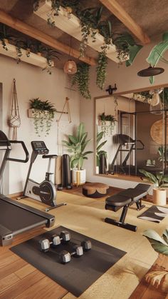 a gym with exercise equipment and plants hanging from the ceiling