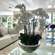 a vase with white flowers sitting on top of a glass table in front of a couch