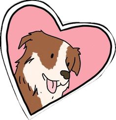 a brown and white dog with a pink heart