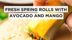 fresh spring rolls with avocado and mango being held by a person's hand