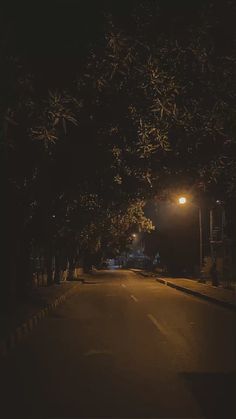 an empty street at night with lights on and trees lining the road in the foreground