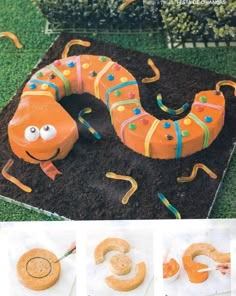 an image of a cake made to look like a caterpillar on the ground