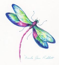 a drawing of a dragonfly on white paper