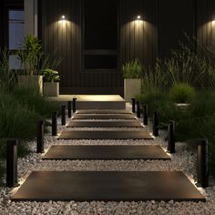 a set of steps lit up by lights in front of a building with grass and plants