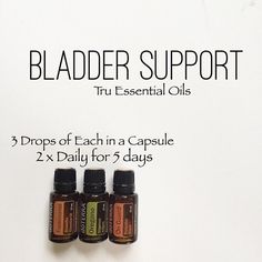 Terra Essential Oils, Doterra Oils Recipes, Doterra Diffuser Blends, Essential Oils For Pain, Doterra Essential Oils Recipes, Essential Oil Remedy, Oil Remedies, Bladder Control, Essential Oils Health