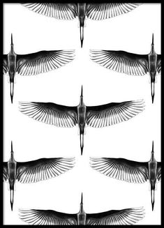 some black and white wings on a white background