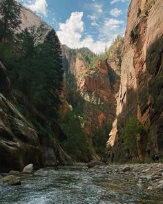 people are rafting down a river in the mountains with rocks and trees on either side