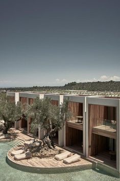 an outdoor swimming pool with olive trees in the foreground