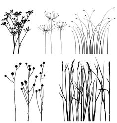 black and white silhouettes of plants with long stems, flowers and leaves on a white background