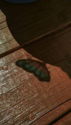 the shadow of a leaf on a wooden table