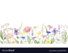 watercolor flowers and plants on white background with space for text or image eps 8x8