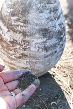 a person holding dirt in their hand next to a large stone pot on the ground