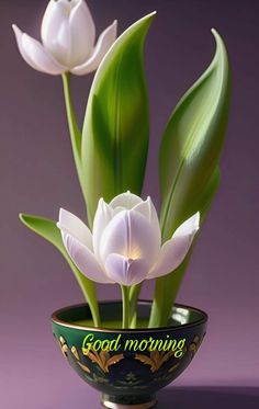 two white flowers in a green bowl with the words good morning written on it's side