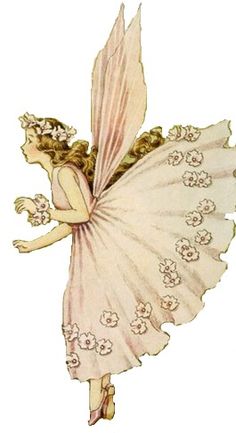 a drawing of a fairy with flowers on her wings