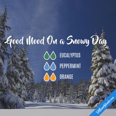 Good Mood On a Snowy Day - Essential Oil Diffuser Blend - #orange #eucalyptus #peppermint; #doTERRA; www.playthegracenotes.com Doterra Diffuser Blends, A Snowy Day