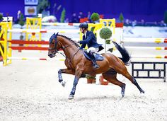 a woman riding on the back of a brown horse in an indoor arena with people watching