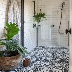 a bathroom with black and white tiled floors, a plant in the shower stall and a towel rack on the wall