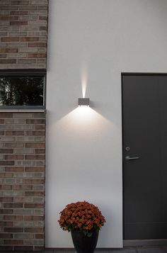 a potted plant sitting on the side of a white wall next to a door