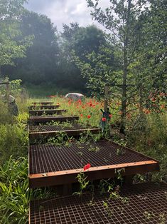 a wooden platform in the middle of a field with flowers growing on top of it