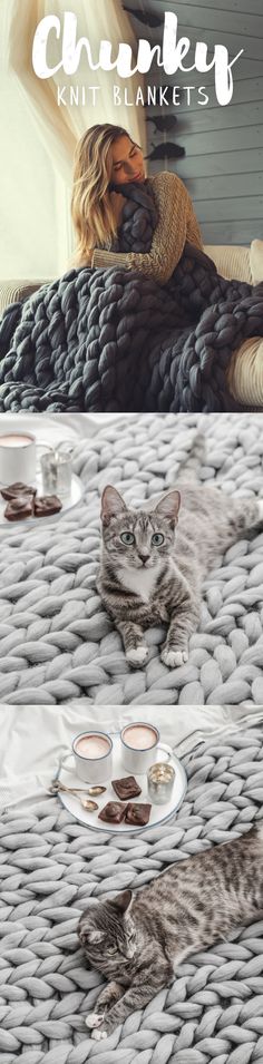 a cat laying on top of a blanket next to cups and saucers