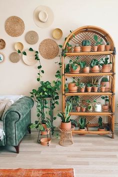 a living room filled with lots of plants and potted plants next to a couch