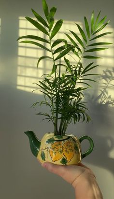 a hand holding a potted plant in the shape of a teapot