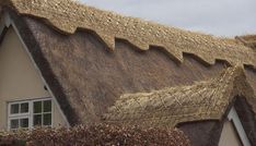 a thatched roof on a house with bushes around it