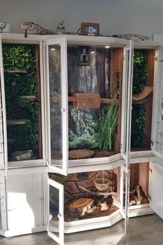 a large white cabinet with lots of plants in it