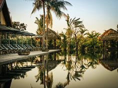 an outdoor swimming pool with lounge chairs and palm trees in the foreground, surrounded by grass huts