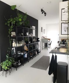 a black and white kitchen with plants on the shelves