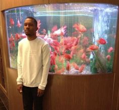 a man standing in front of a fish tank