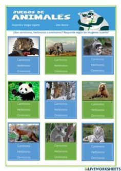 an animal poster with pictures of different animals and their names in spanish, english or french