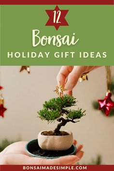 someone holding a bonsai tree in their hand with the words bonsai holiday gift ideas