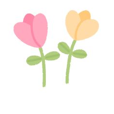 two pink and yellow flowers on a white background