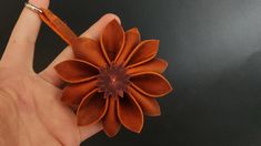 a hand holding an orange flower on a black background