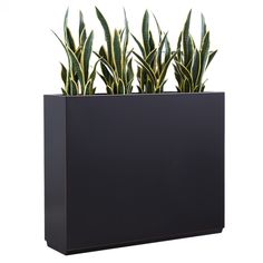 a black planter filled with green plants on top of a white background in the shape of a rectangle