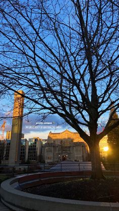 a tree with no leaves in front of a clock tower at dusk, on a city street