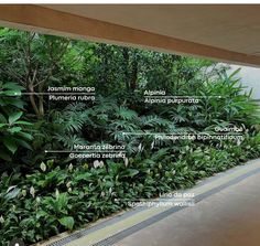 the inside of a building with plants and other things labeled in english on it's walls