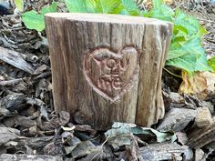 a heart carved into a tree stump on the ground