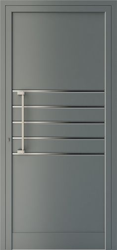 an image of a modern door with metal bars on the front and side paneling