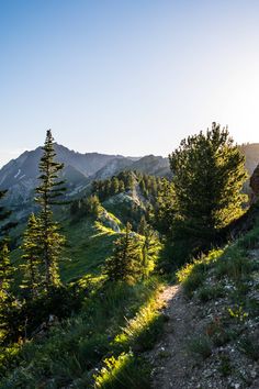 the sun shines brightly on some trees and mountains in the distance, with a trail running through it