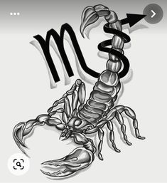 a scorpion with the letter m on it's back and an arrow pointing to its tail