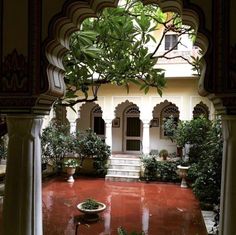 an outdoor courtyard with potted plants and trees