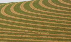 an aerial view of a large field with lines in the grass