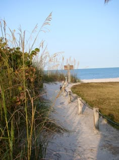 the path to the beach is lined with sand and sea oats on either side