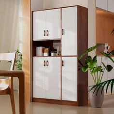 a white cabinet sitting next to a potted plant in a living room filled with furniture