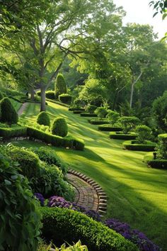 a lush green park with lots of trees and bushes