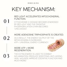 The number one mechanism of Red Light Therapy is an increase in energy output (adenosine triphosphate) from the mitochondria. Oxidative Phosphorylation, Improve Cognitive Function, Red Light Therapy, Light Therapy, Red Light, Light Red, Anti Aging, Healing