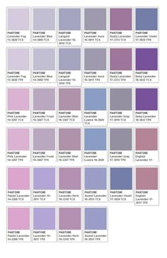 the pantone color chart is shown in this screenshote, and it shows different shades