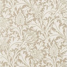 an ornate wallpaper pattern in beige and white